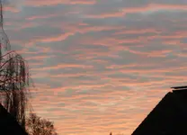 P1020417.webp