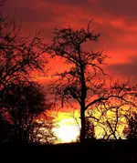 SoUDez16 (4).webp
