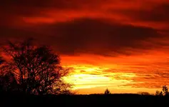 SoUDez16 (3).webp
