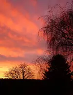 SoUDez16 (2).webp