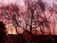 SoUDez16 (1).webp