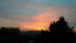 DSC_0218.jpg