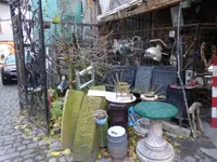 P1250490.webp