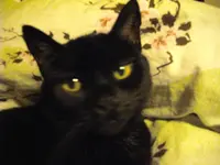 IMGP4118.webp