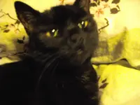 IMGP4122.webp
