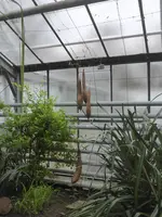 P1020438 Luffagurke.webp