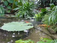 P1020447.webp