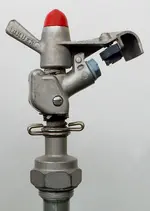 DSCN3753.webp