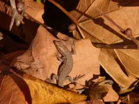 P1250080.webp