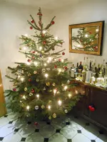 DSCN4744.webp
