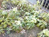 P1020605.webp