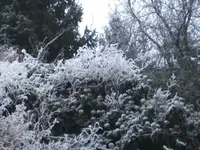 BILD6121.webp