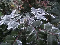 BILD6130.webp