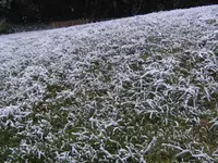 BILD6125.webp