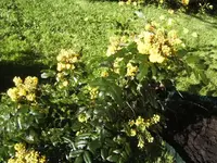 BILD4955.webp