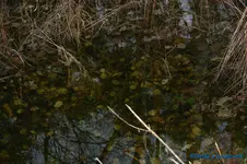 comp_DSC06042.webp
