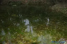 comp_DSC06044.webp