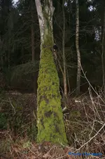 comp_DSC06048.webp
