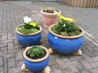 160722 Winterfester Kübelgarten.webp