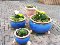 160722 Winterfester Kübelgarten.webp