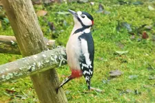 DSCF8199 (2).webp