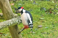 DSCF8201 (2).webp