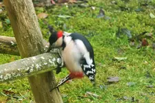 DSCF8208 (2).webp