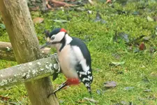 DSCF8207 (2).webp