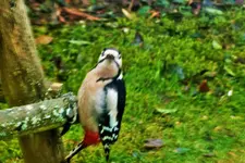 DSCF8211 (3).webp