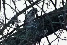 DSCF8231 (2).webp