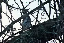 DSCF8229 (2).webp
