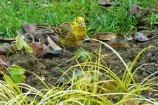 DSCF8172 (2).webp