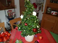 20161215_131916.jpg