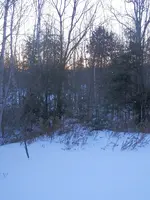 PC150340.JPG