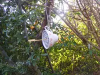 Tasse1.webp
