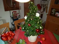 20161215_131904.webp