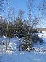 PC170343.JPG