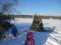 PC170344.webp