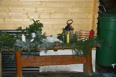comp_DSC06053.webp