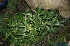 comp_DSC06060.webp