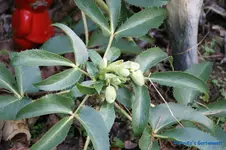 comp_DSC04563.webp