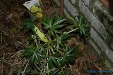 comp_DSC06061.webp