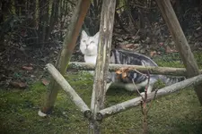 DSCF8278 (2).webp