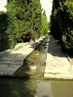 IMG_1752.webp