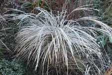 DSCF8290 (2).webp