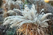 DSCF8291 (2).webp