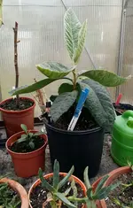 20161217_133955-1.webp