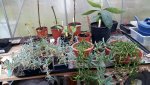 20161111_102101.jpg