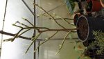 20161217_133938.jpg