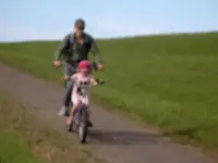 IMGP9790.webp